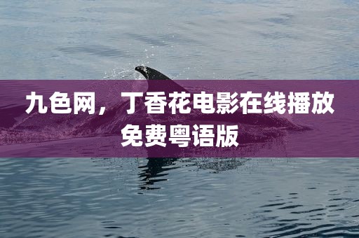 九色网，丁香花电影在线播放免费粤语版