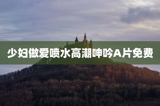 少妇做爱喷水高潮呻吟A片免费