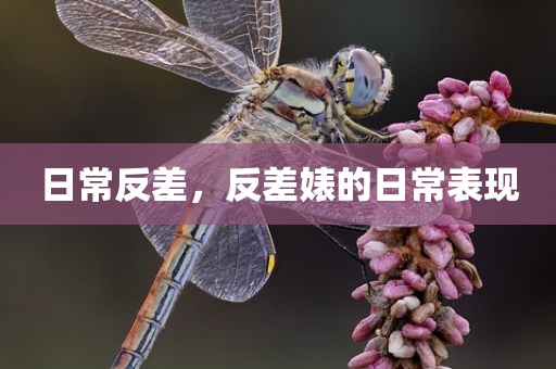 日常反差，反差婊的日常表现