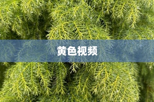 黄色视频