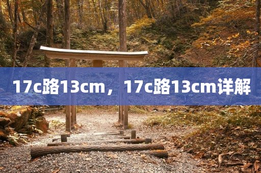17c路13cm，17c路13cm详解