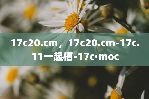 17c20.cm，17c20.cm-17c.11一起槽-17c·moc