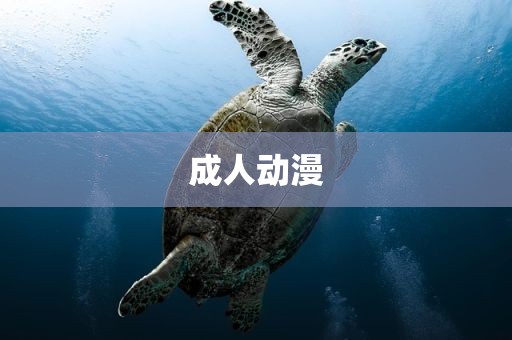 成人动漫