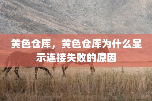黄色仓库，黄色仓库为什么显示连接失败的原因