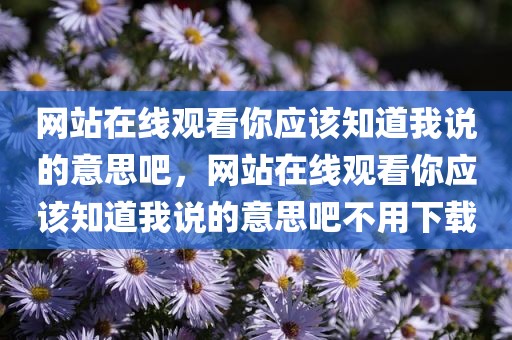网站在线观看你应该知道我说的意思吧，网站在线观看你应该知道我说的意思吧不用下载