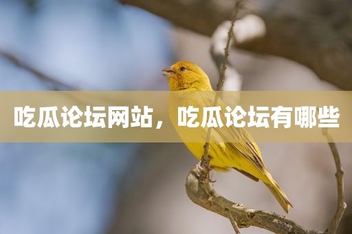 吃瓜论坛网站，吃瓜论坛有哪些