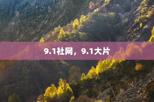 9.1社网，9.1大片