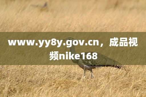 www.yy8y.gov.cn，成品视频nike168