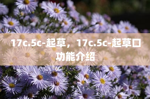 17c.5c-起草，17c.5c-起草口功能介绍