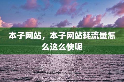 本子网站，本子网站耗流量怎么这么快呢