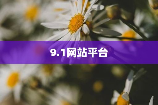 9.1网站平台