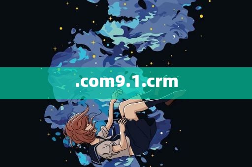 .com9.1.crm