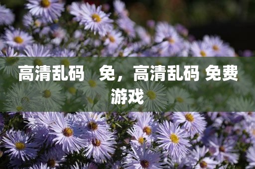 高清乱码   免，高清乱码 免费游戏
