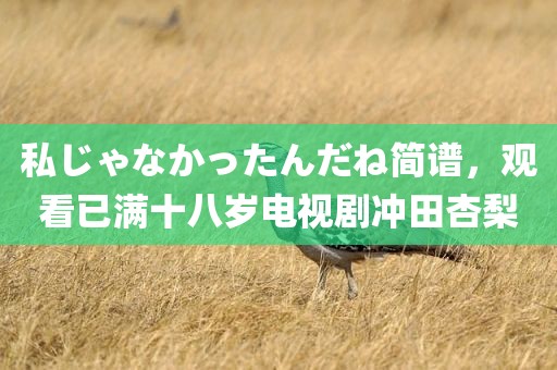 私じゃなかったんだね简谱，观看已满十八岁电视剧冲田杏梨