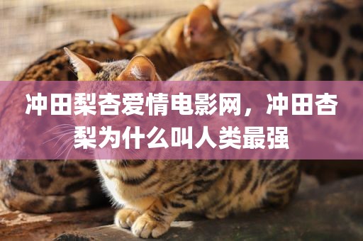 冲田梨杏爱情电影网，冲田杏梨为什么叫人类最强