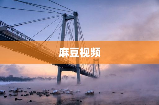 麻豆视频