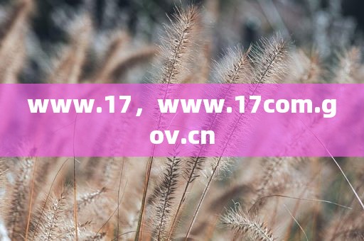 www.17，www.17com.gov.cn