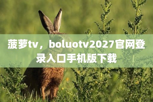 菠萝tv，boluotv2027官网登录入口手机版下载