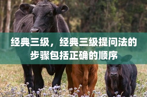经典三级，经典三级提问法的步骤包括正确的顺序