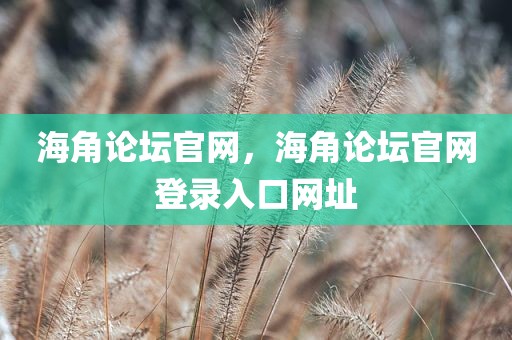 海角论坛官网，海角论坛官网登录入口网址