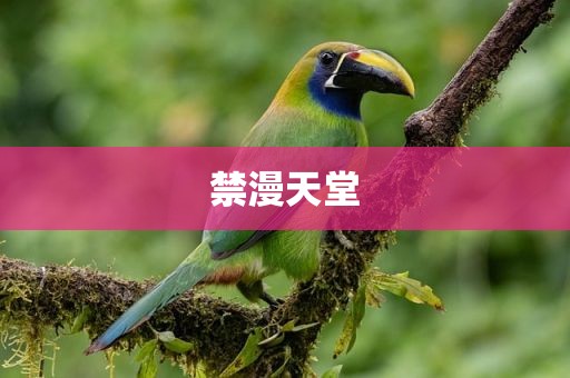 禁漫天堂