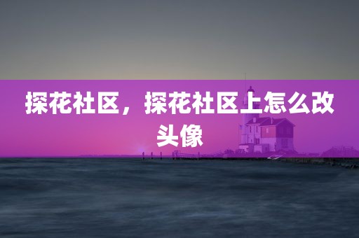 探花社区，探花社区上怎么改头像