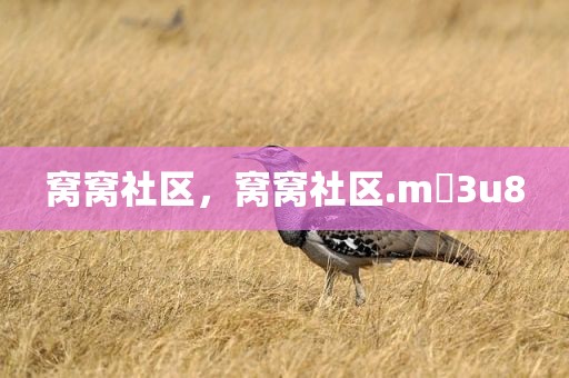 窝窝社区，窝窝社区.m 3u8