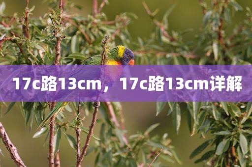 17c路13cm，17c路13cm详解