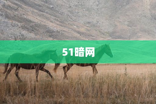51暗网
