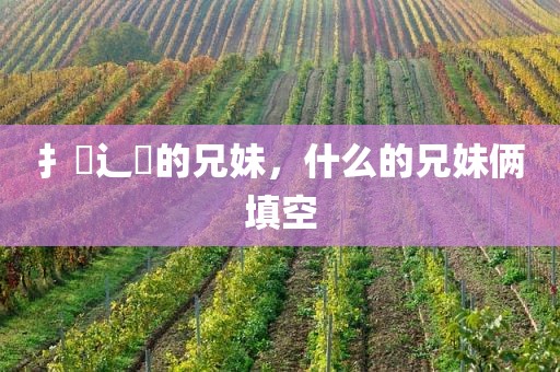 扌臿辶畐的兄妹，什么的兄妹俩填空
