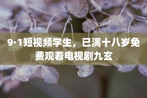 9·1短视频学生，已满十八岁免费观看电视剧九玄