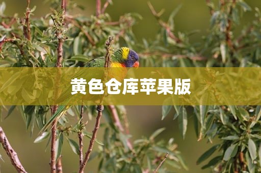 黄色仓库苹果版