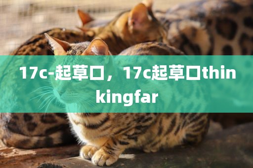 17c-起草口，17c起草口thinkingfar