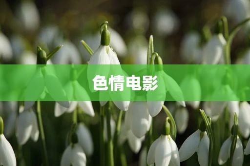 色情电影