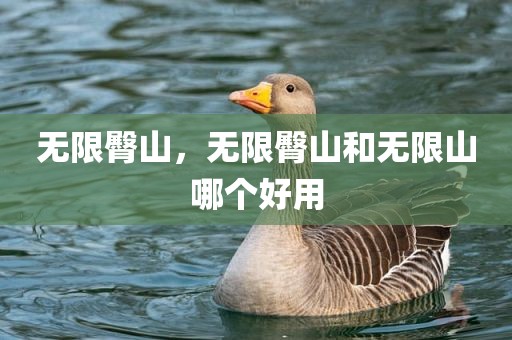 无限臀山，无限臀山和无限山哪个好用
