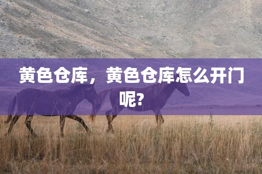 黄色仓库，黄色仓库怎么开门呢?