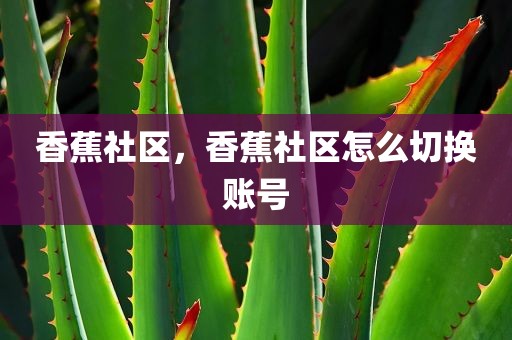 香蕉社区，香蕉社区怎么切换账号
