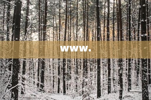 www.