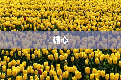 糖心
