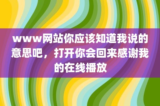 www网站你应该知道我说的意思吧，打开你会回来感谢我的在线播放