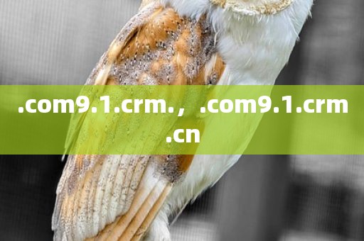 .com9.1.crm.，.com9.1.crm.cn