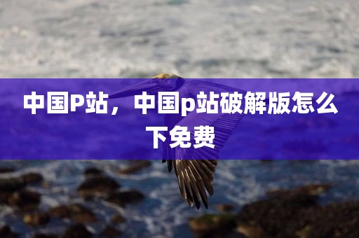 中国P站，中国p站破解版怎么下免费