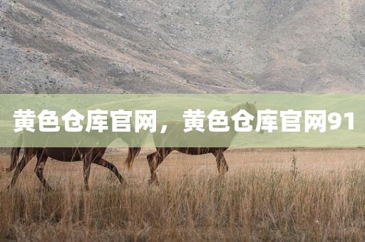 黄色仓库官网，黄色仓库官网91