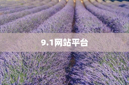 9.1网站平台
