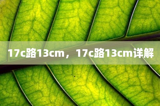 17c路13cm，17c路13cm详解