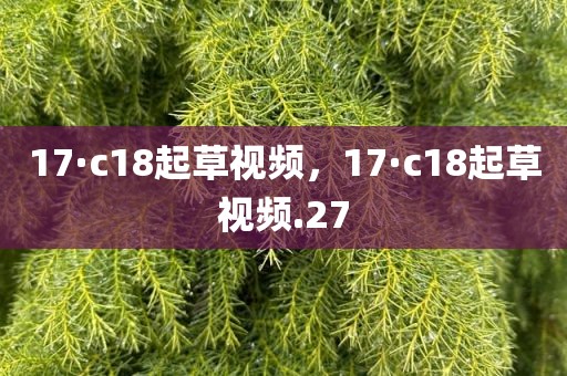 17·c18起草视频，17·c18起草视频.27