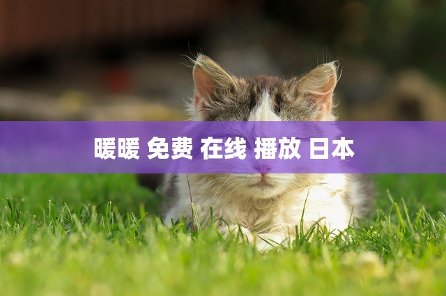 暖暖 免费 在线 播放 日本