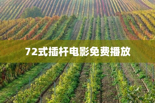 72式插杆电影免费播放
