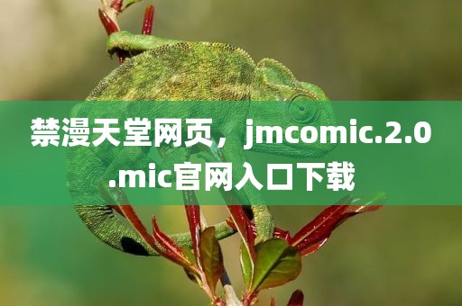 禁漫天堂网页，jmcomic.2.0.mic官网入口下载