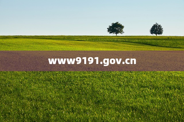 www9191.gov.cn